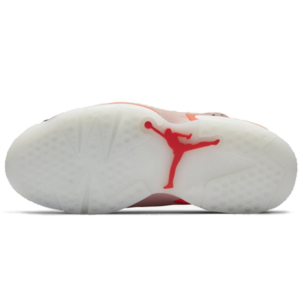 Jordan Air Jordan 6 retro nrg aleali may