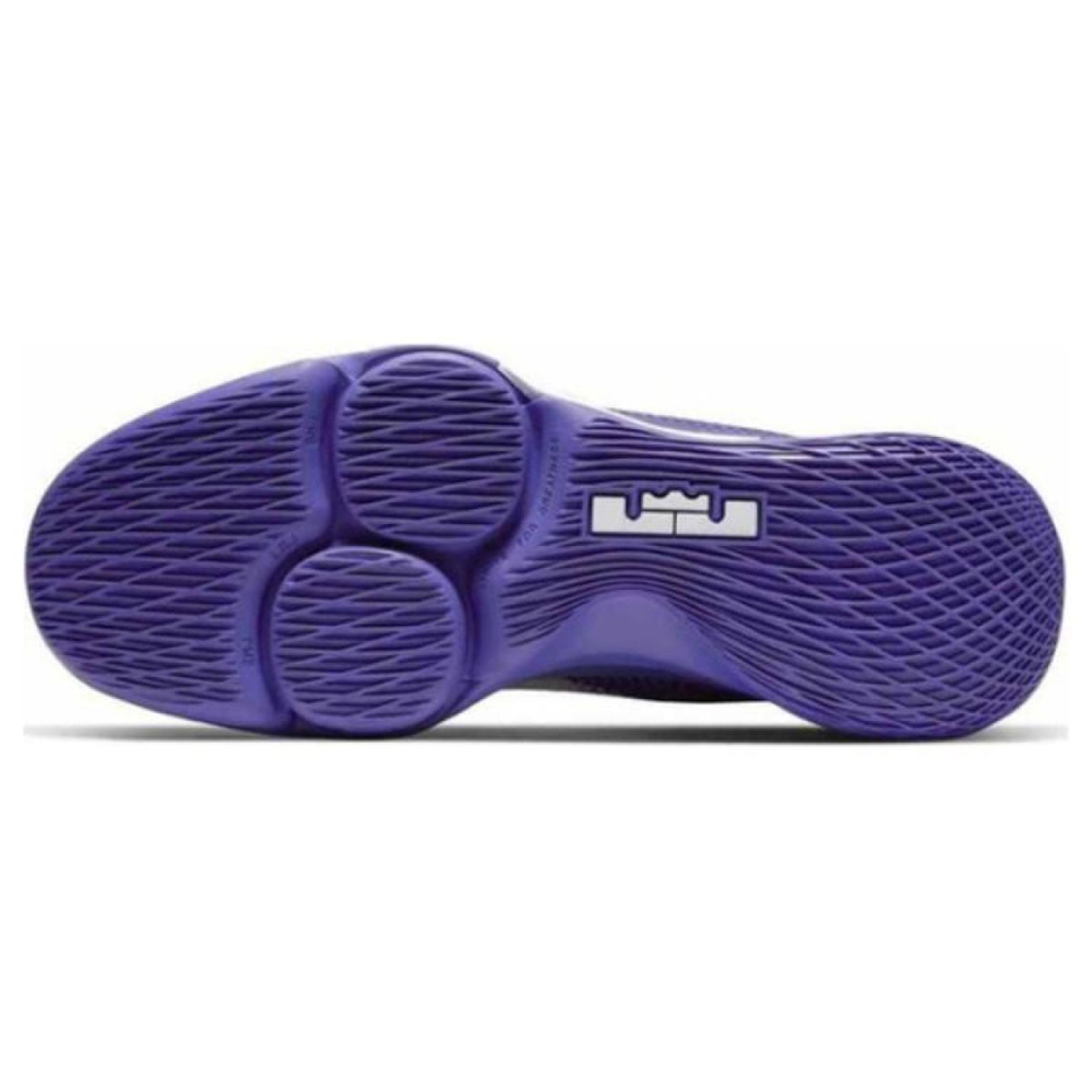 Nike Witness 4 LeBron EP