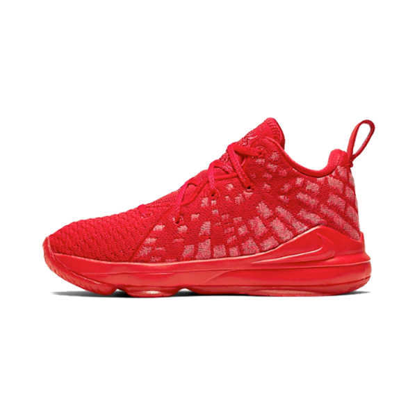 Nike Lebron 17 17