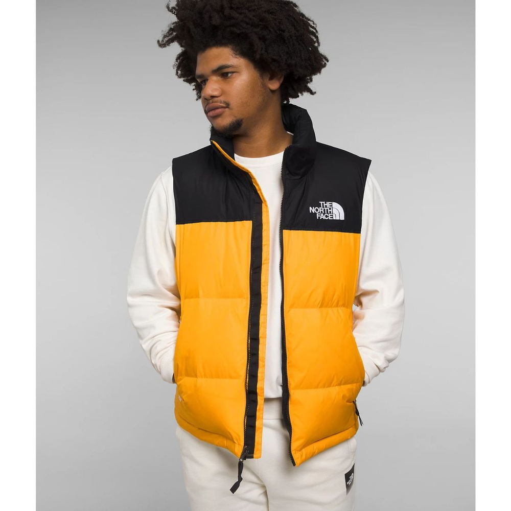 THE NORTH FACE 1996 Retro Nuptse 700