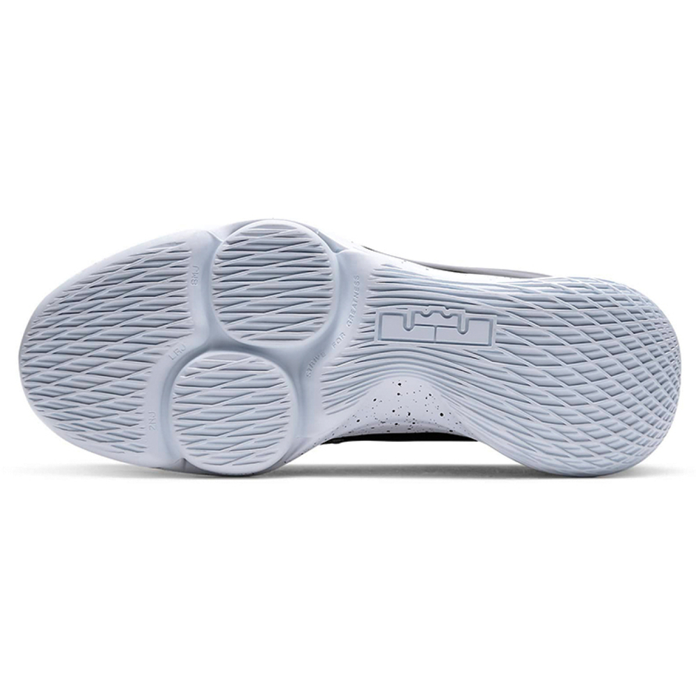 Nike Witness 5 Lebron TPU