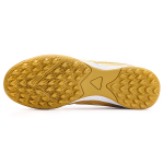JOMA TF（ ）