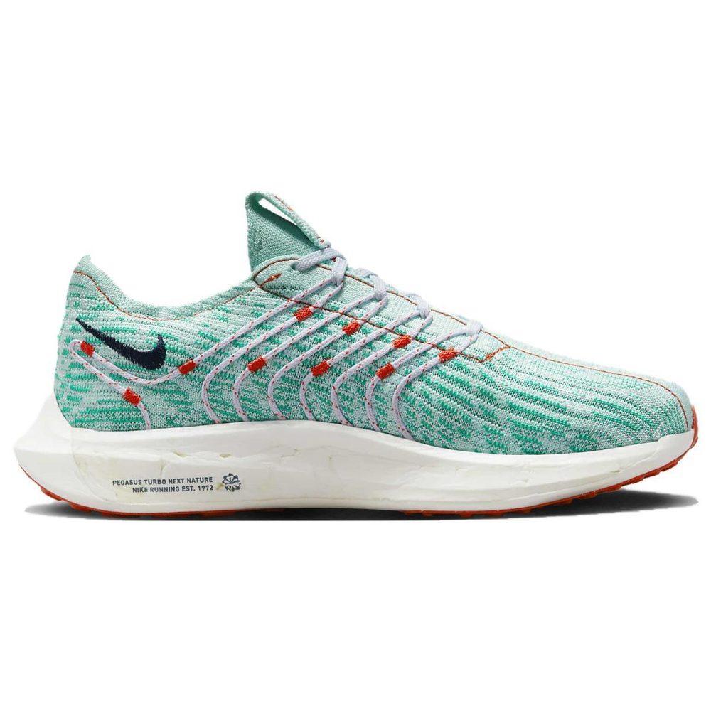 Nike Pegasus turbo 1 ZoomX