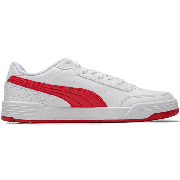 PUMA Caracal