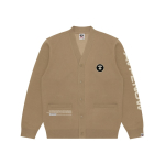 Aape V