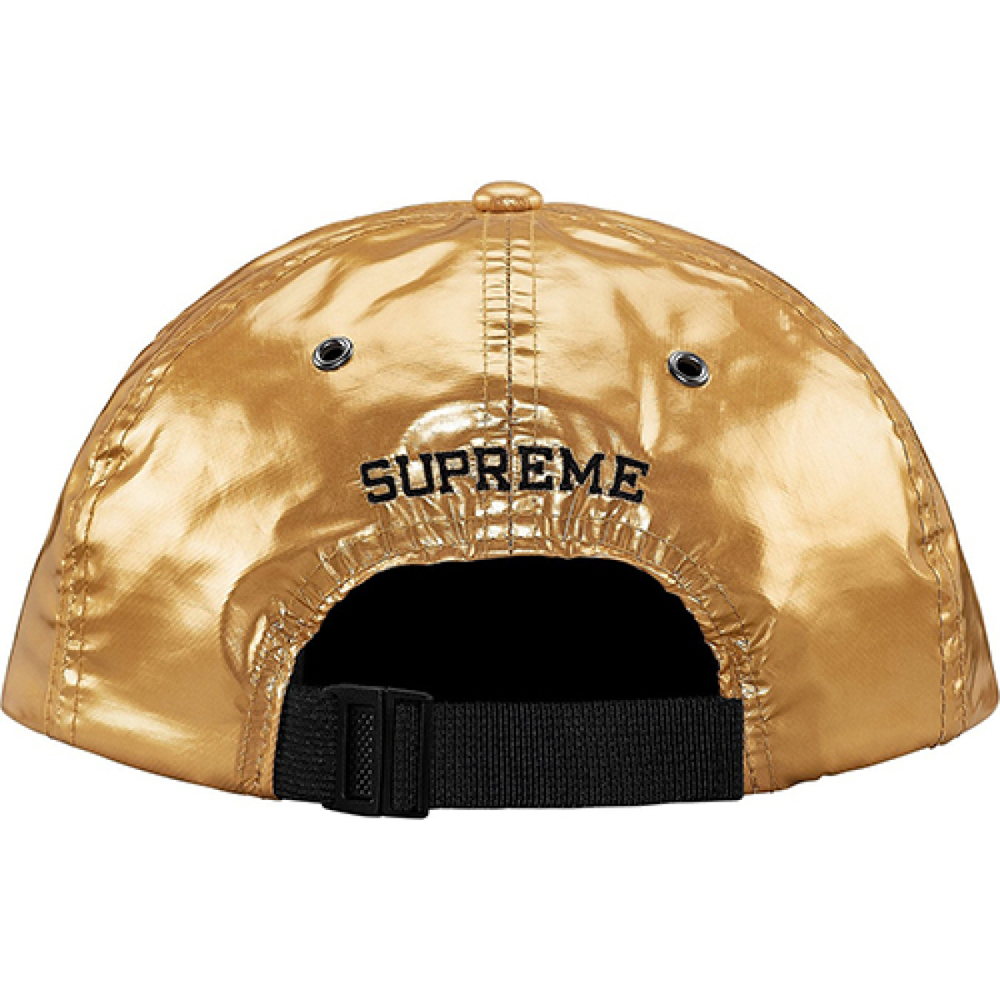 Supreme SS18 The North Face Metallic 6-Panel