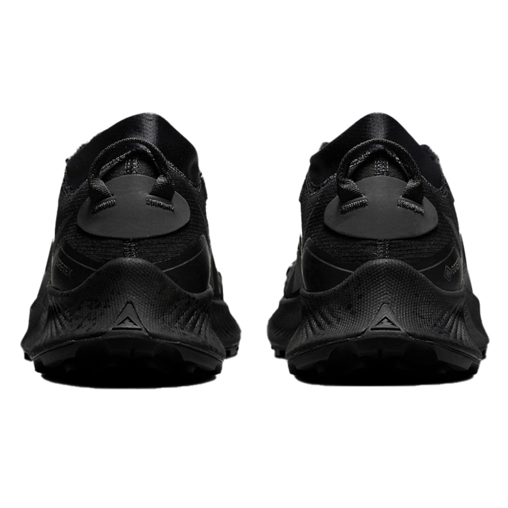 Nike Pegasus Trail 3 gore-tex "black"