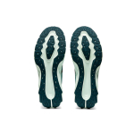 Asics Novablast 1