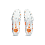 Asics DS LIGHT HG（ ）