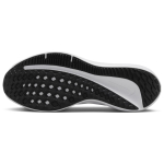 Nike Air Winflo 10
