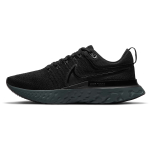 Nike React Infinity Run Flyknit 2