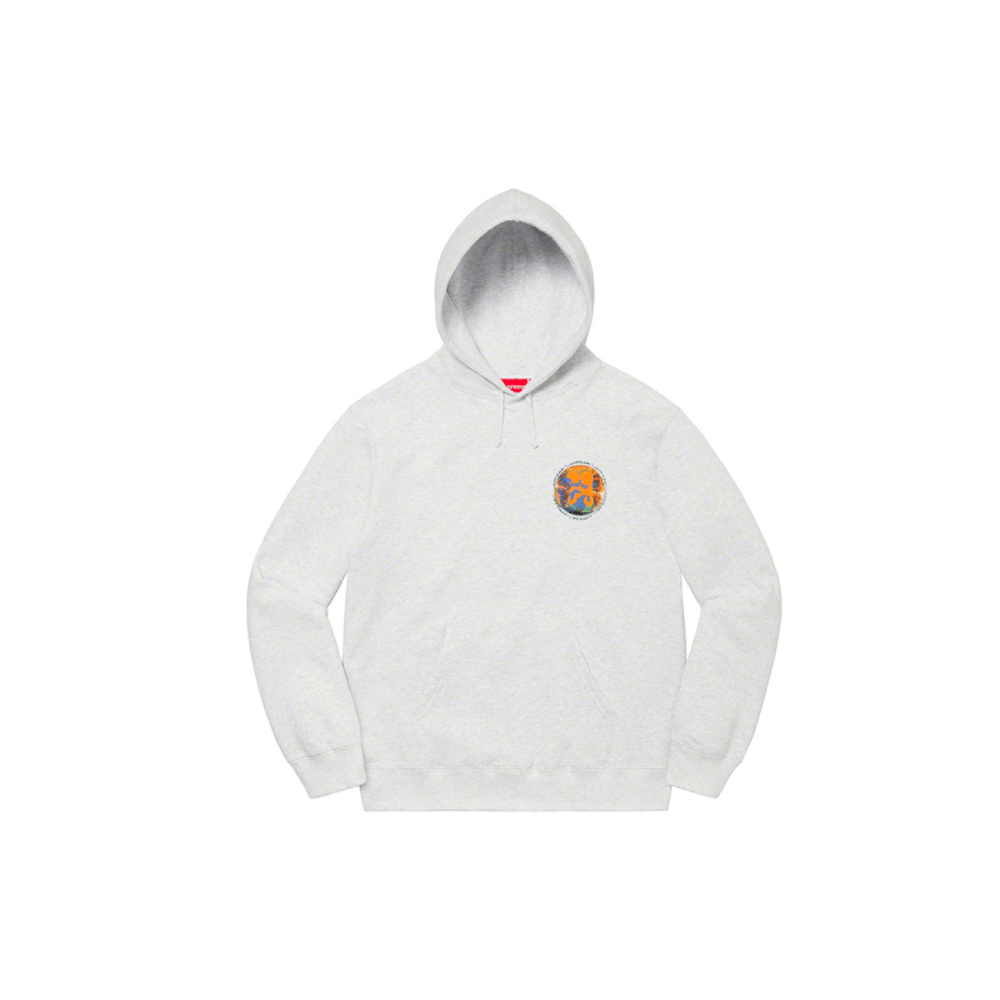 Supreme SS20 Week 15 Embryo Hooded Sweatshirt