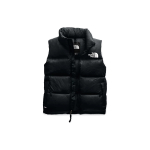 THE NORTH FACE 1996 Retro Nuptse Vest 700