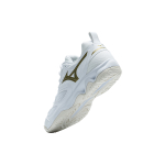 Mizuno