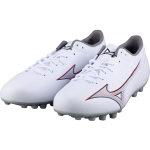 Mizuno AG（ ）