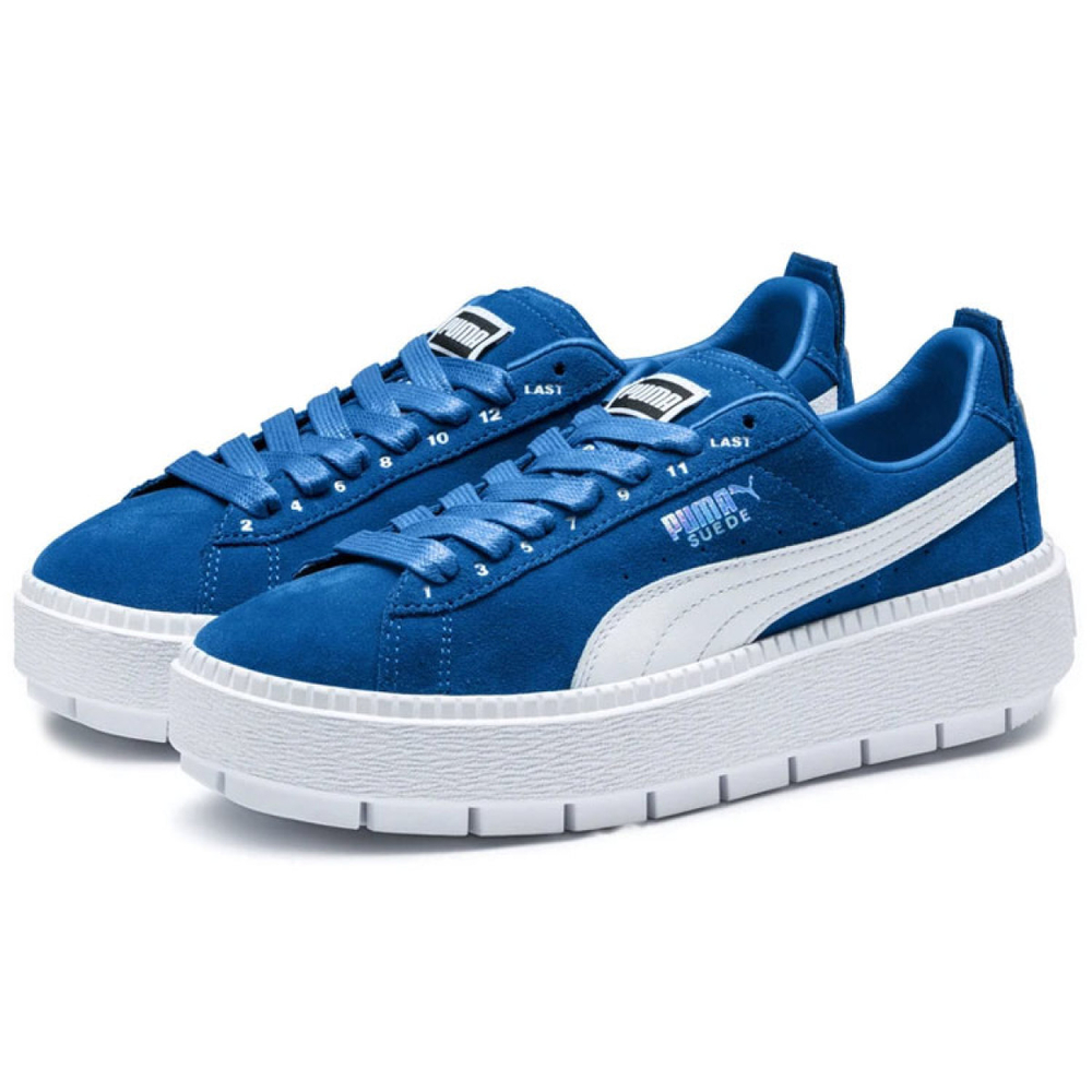 PUMA Platform Trace