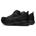 Asics EvoRide
