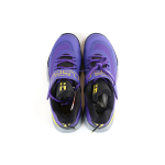 Nike Ambassador 12