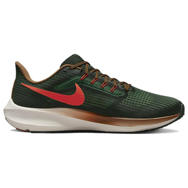 Nike Air Zoom Pegasus 39 "a.i.r. hola lou"
