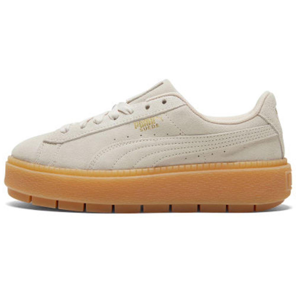 PUMA Platform Trace