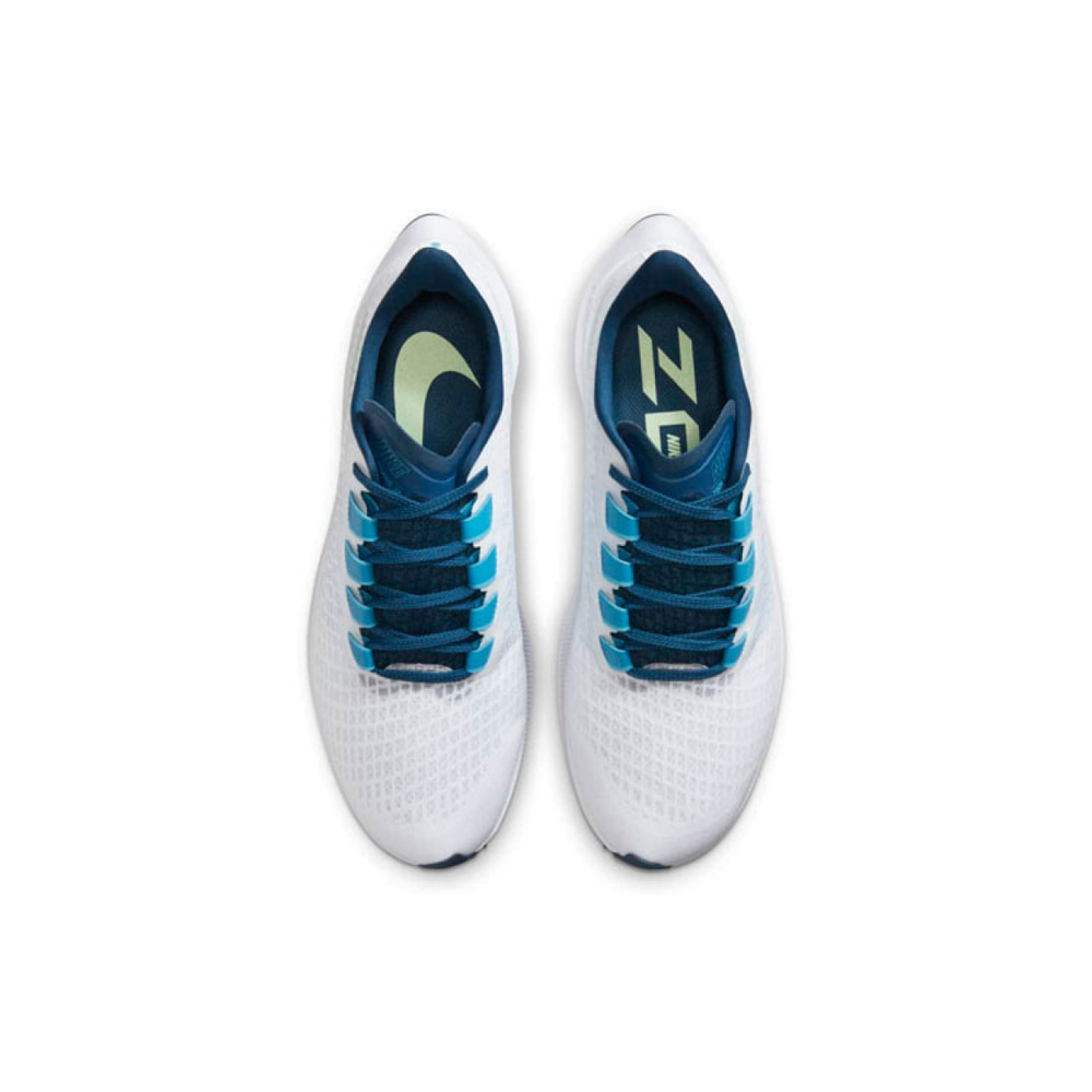 Nike Pegasus 37