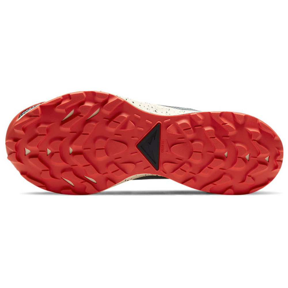 Nike Pegasus Trail 2 GORE-TEX