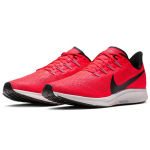 Nike Pegasus 36