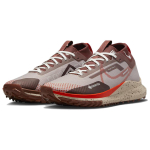 Nike Pegasus Trail 4 Gore-Tex