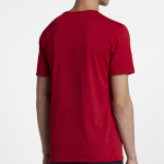 Jordan Iconic T