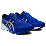 Asics Tartheredge 2E