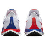 Nike Pegasus 35