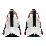 Jordan Zoom Renegad Air