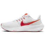 Nike Air Zoom Pegasus 39