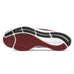 Nike Pegasus 38