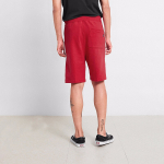 Vans FT Shorts