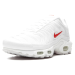 Supreme x Nike Air Max Plus TN