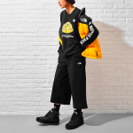 THE NORTH FACE
