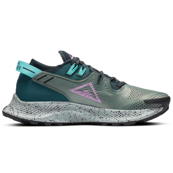 Nike Pegasus Trail 2