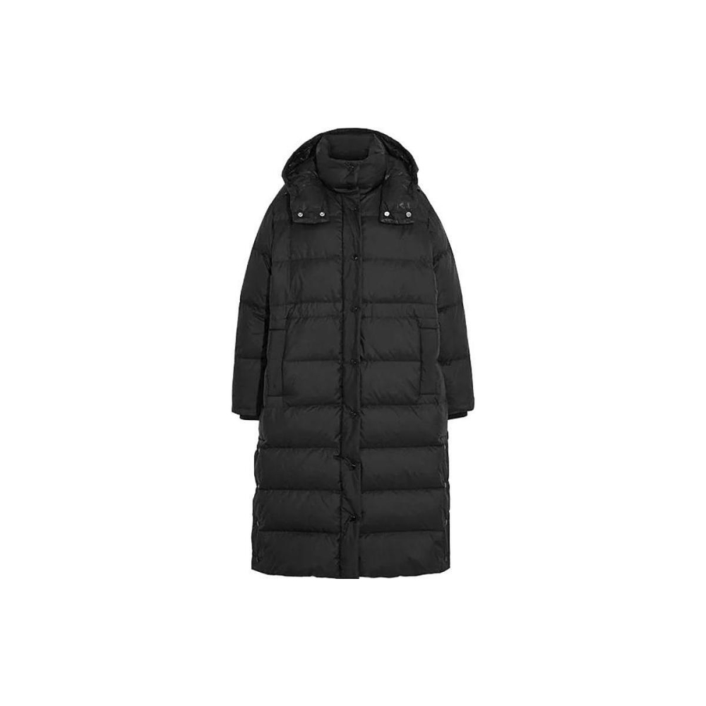 COACH FW23