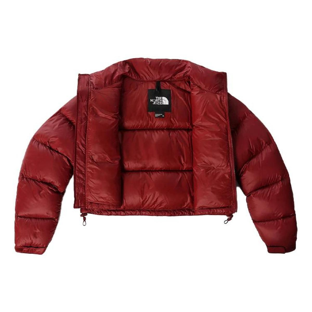 THE NORTH FACE Logo