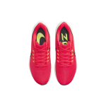 Nike Air Zoom Pegasus 39
