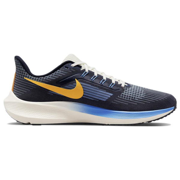 Nike Air Zoom Pegasus 39
