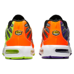 Nike Air Max Plus Color Flip