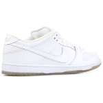 Nike Dunk SB White Ice