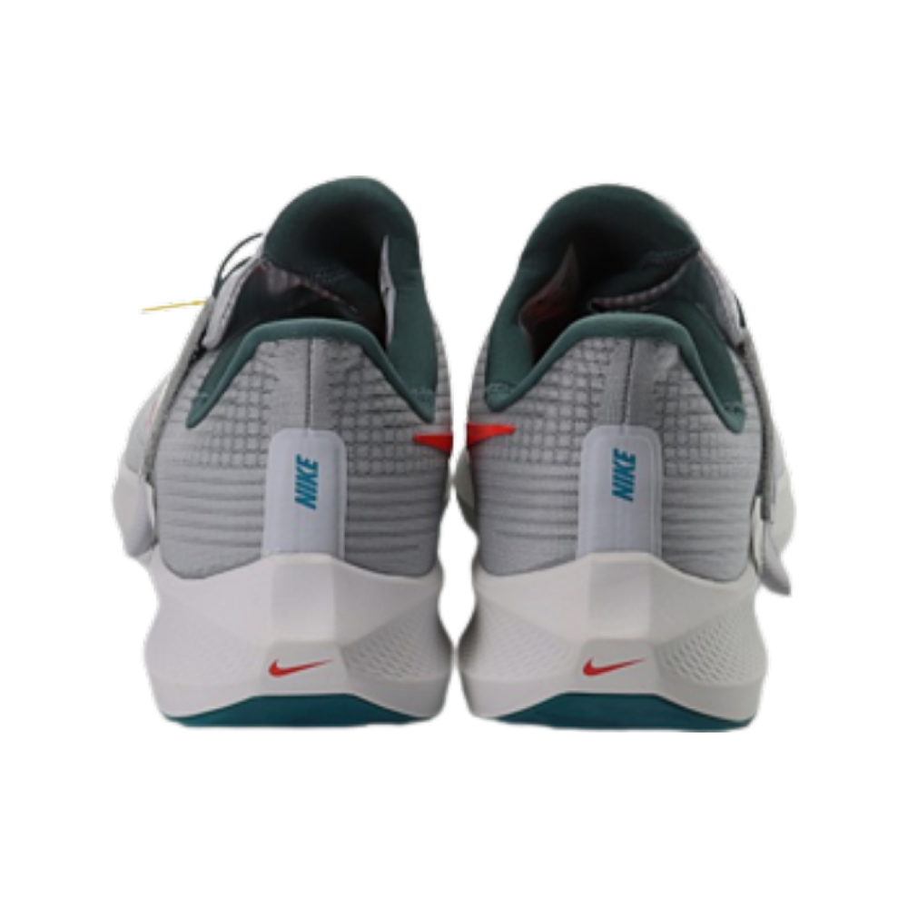 Nike Pegasus FlyEase Air Zoom