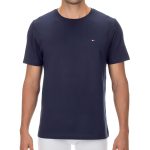Tommy Hilfiger T