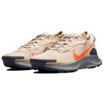 Nike Pegasus Trail 3 GTX