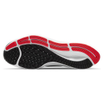 Nike Pegasus 37