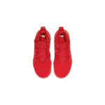 Nike Lebron 17 17
