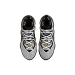 Nike Lebron 19 EP "Royalty" TPU